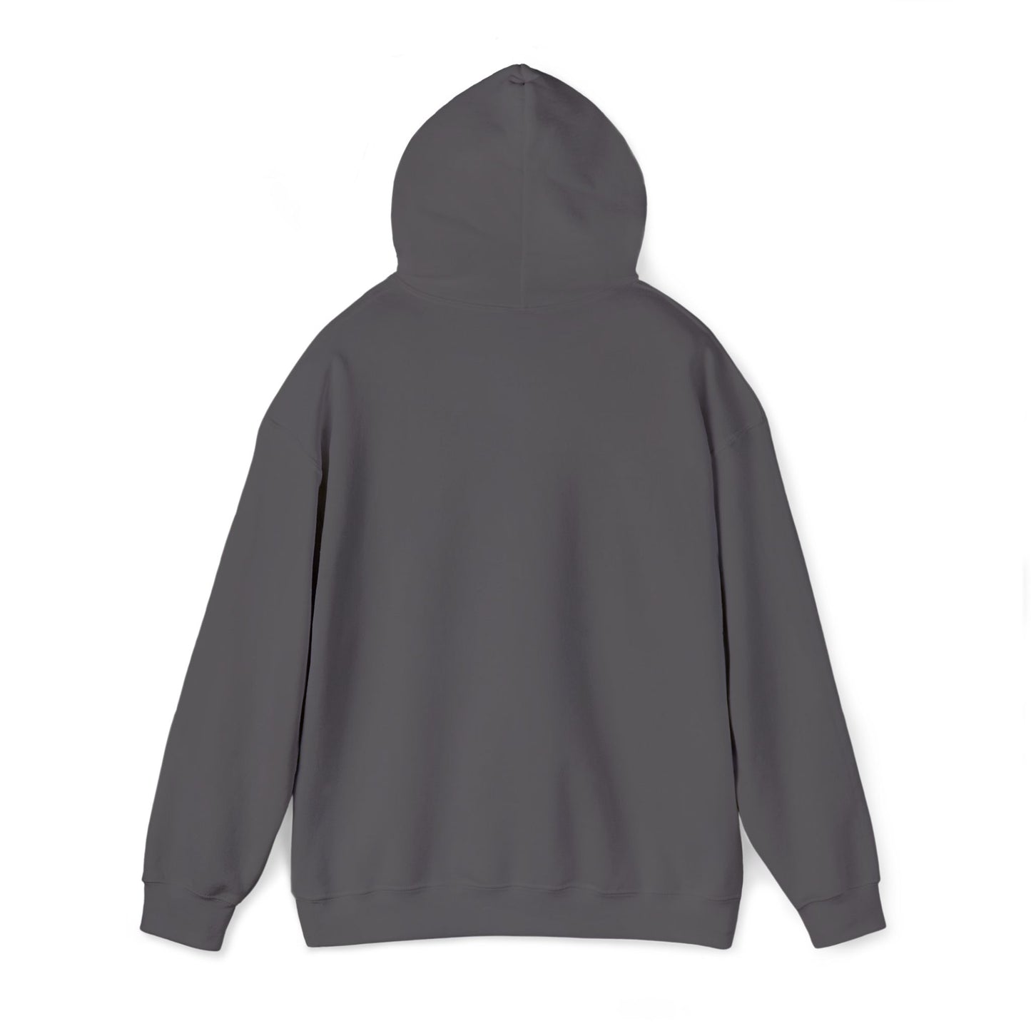 Hoodie - Mountain Embroided Hoodie