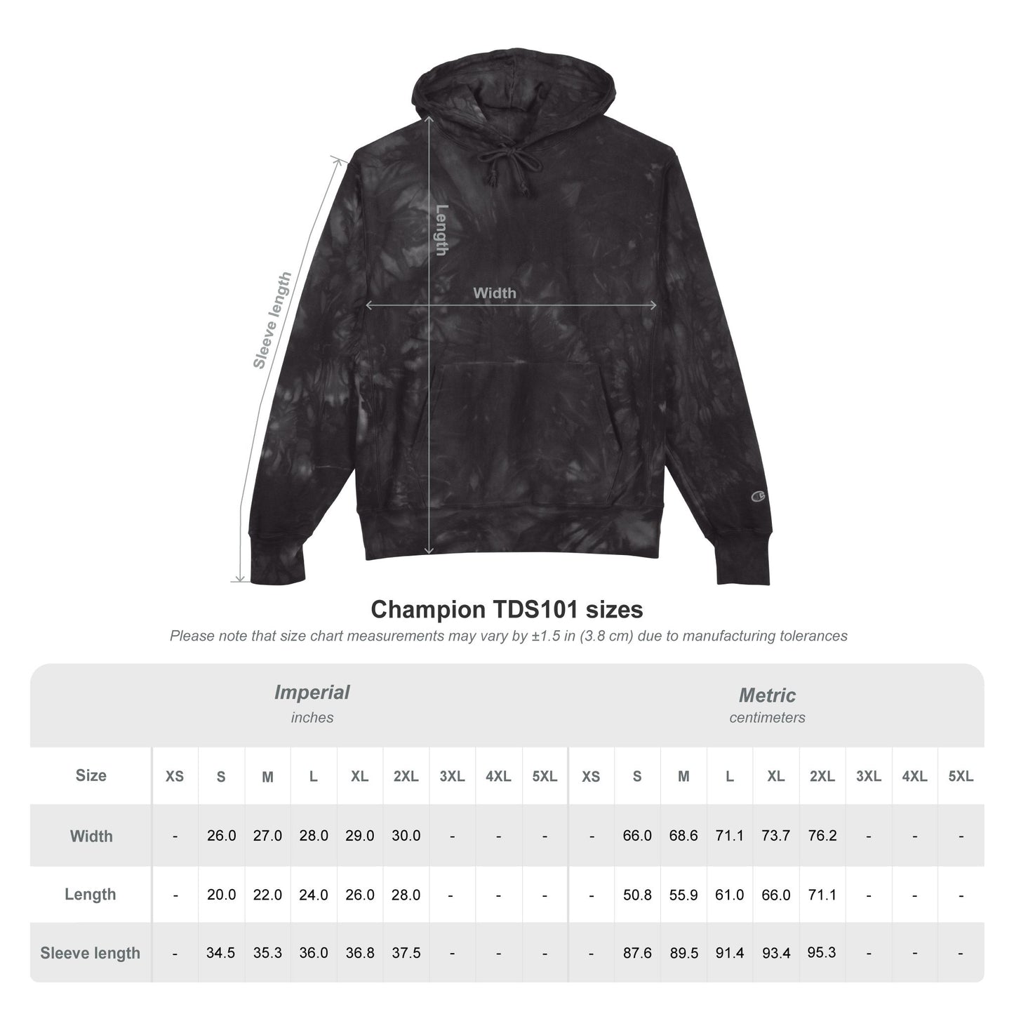 Embroidered Mountain Logo Hoodie Amerigio Magani X Champion