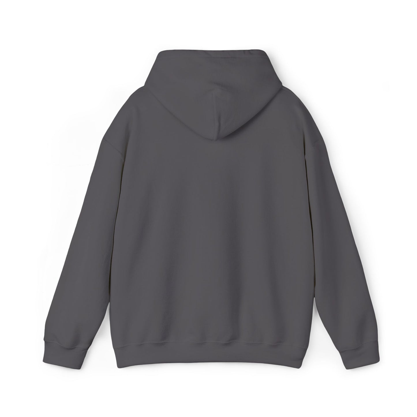 Hoodie - Mountain Embroided Hoodie