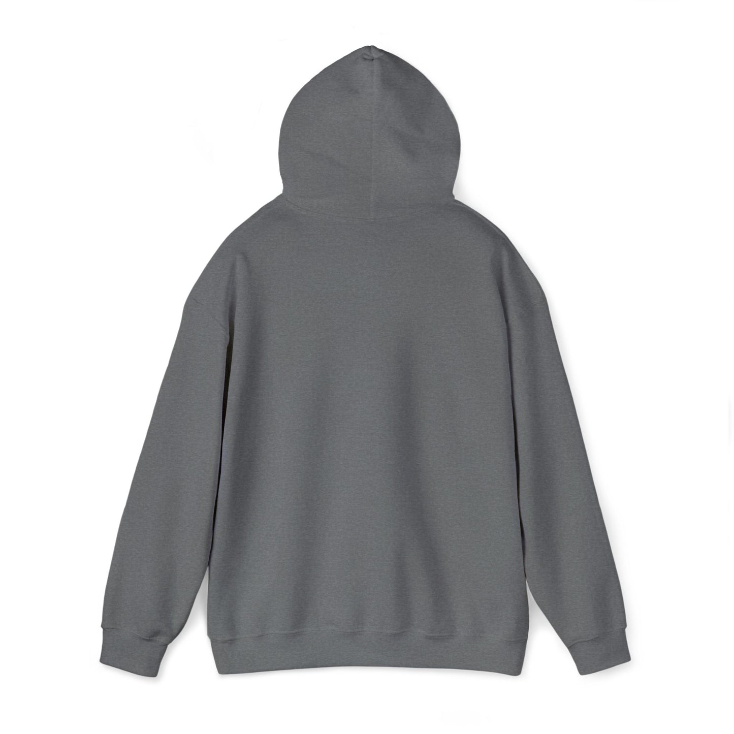 Hoodie - Mountain Embroided Hoodie
