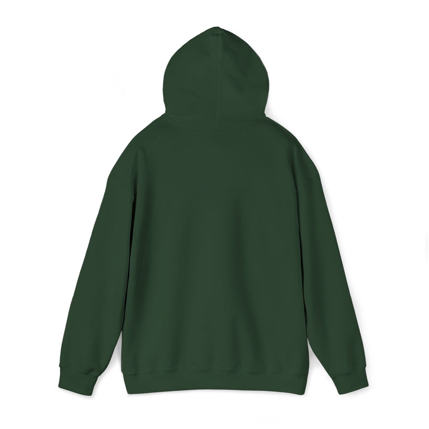 Hoodie - Mountain Embroided Hoodie